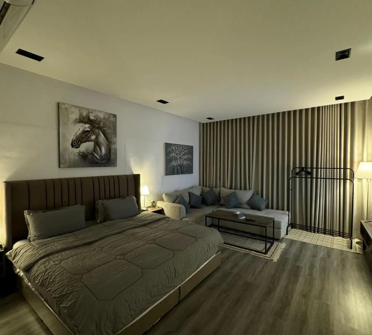 استديو فخم دخول ذاتي Apartment Riyadh